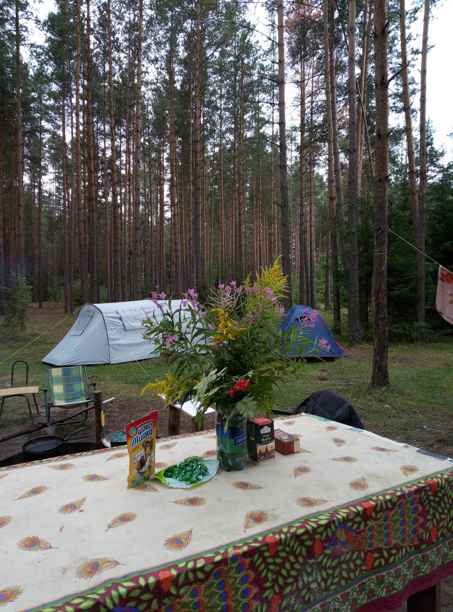 img_20190802_124419.jpg